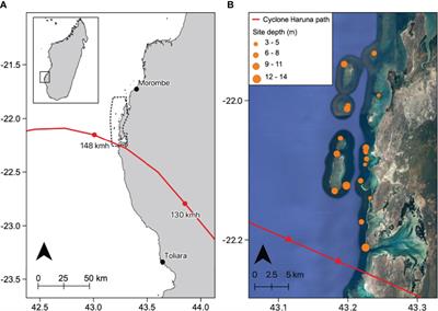 Cyclone Impacts on Coral Reef Communities in Southwest Madagascar